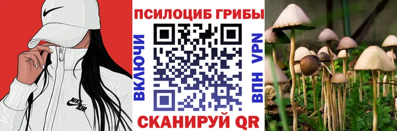 Галлюциногенные грибы мицелий Купить где Пионерский